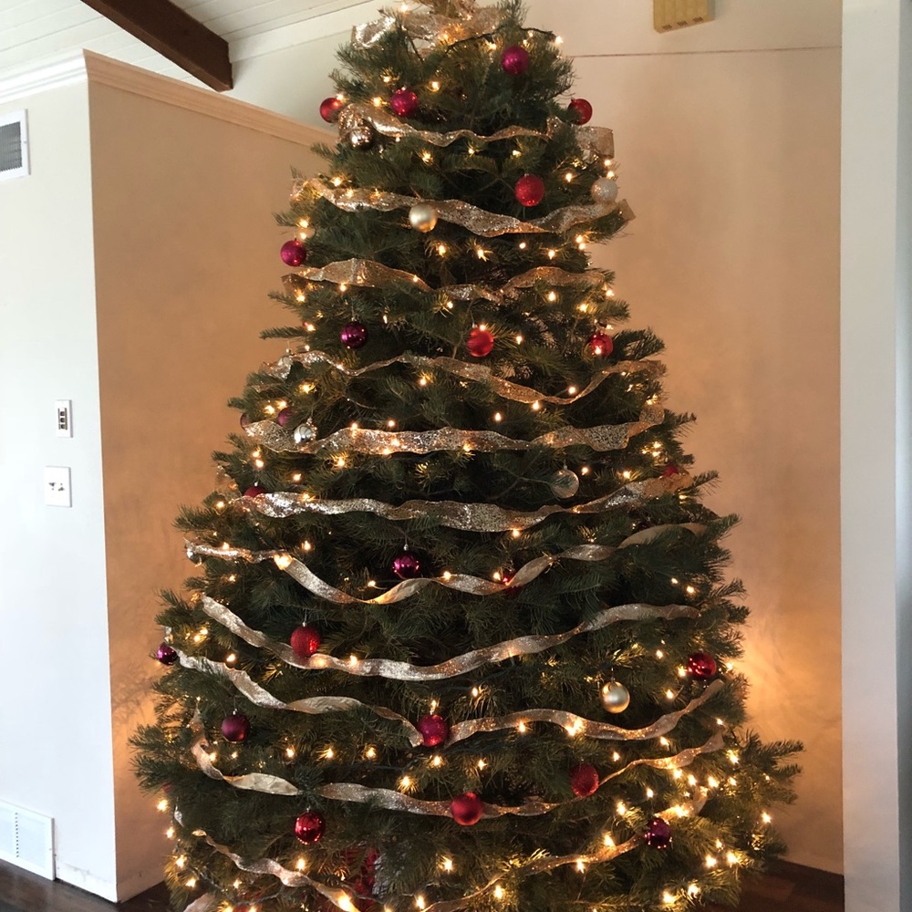 Meet your Posher, Steph